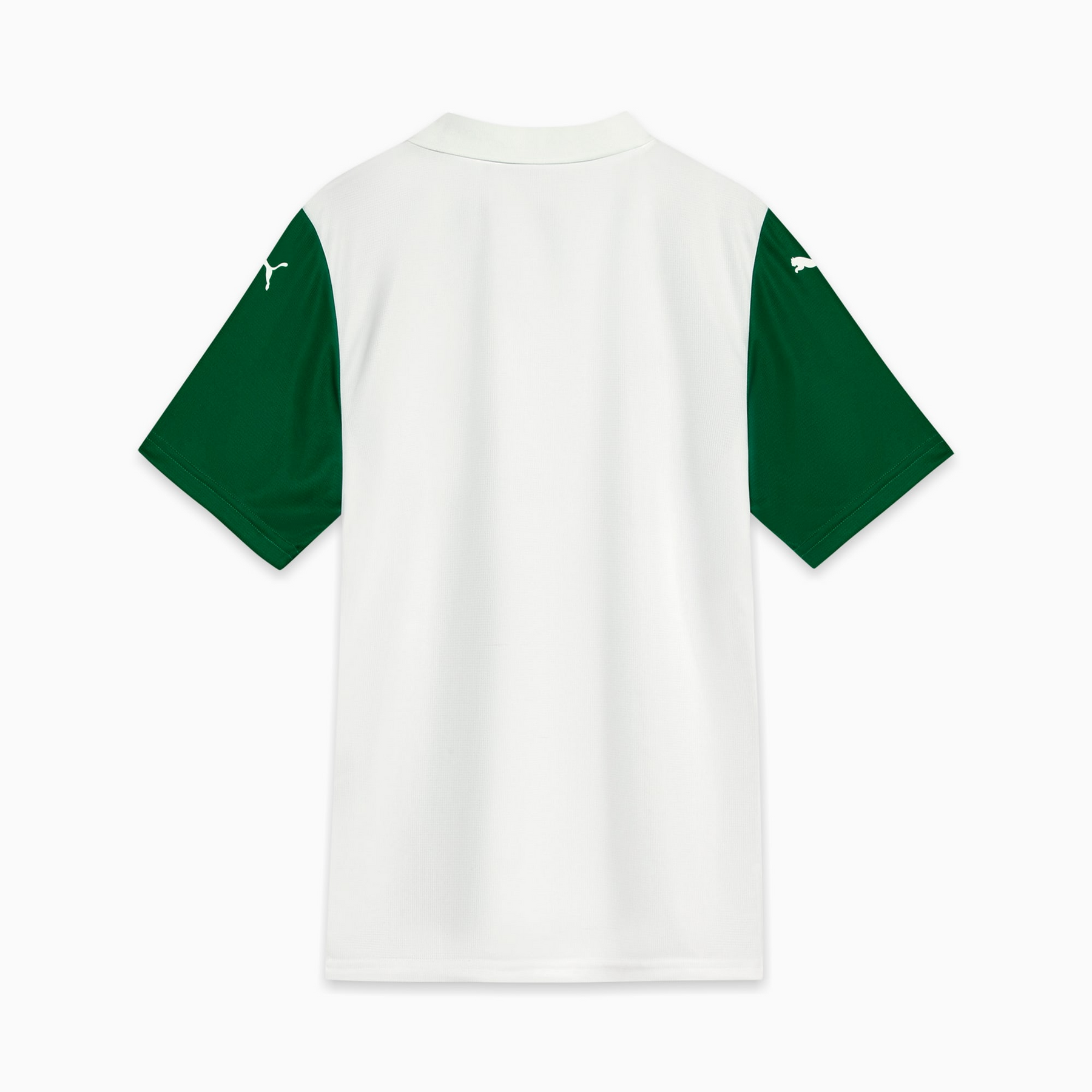 Camisa Palmeiras II 25/26 - Torcedor Puma