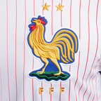 Camisa França II 24/26 - Torcedor Nike