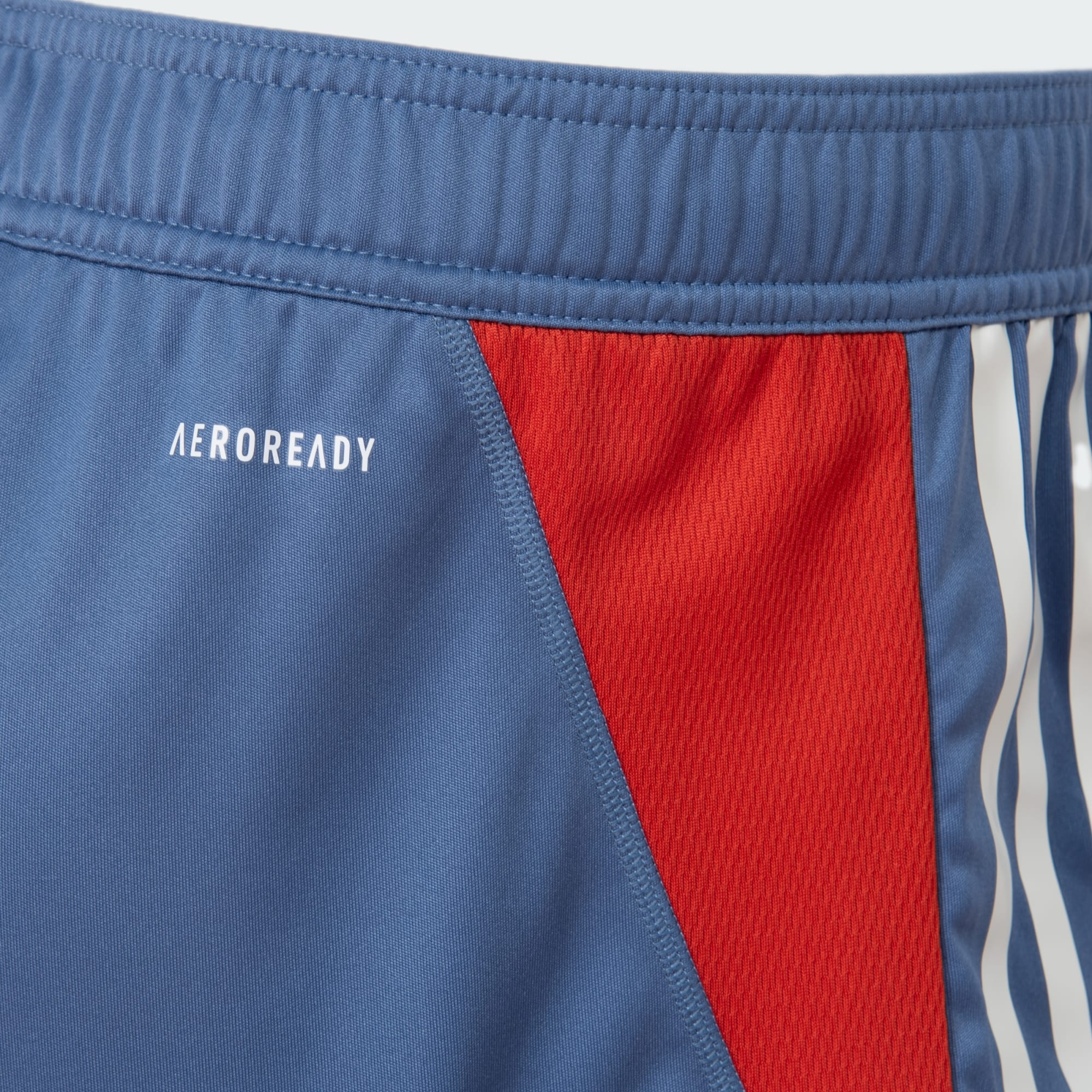 Shorts Cruzeiro Treino 24/25 - Adidas