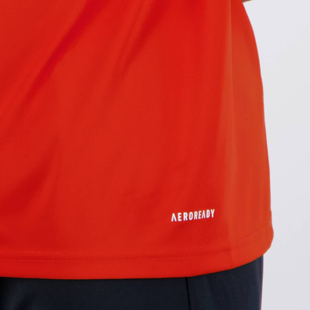 Camisa Cruzeiro Treino Comissão 24/25 - Torcedor Adidas