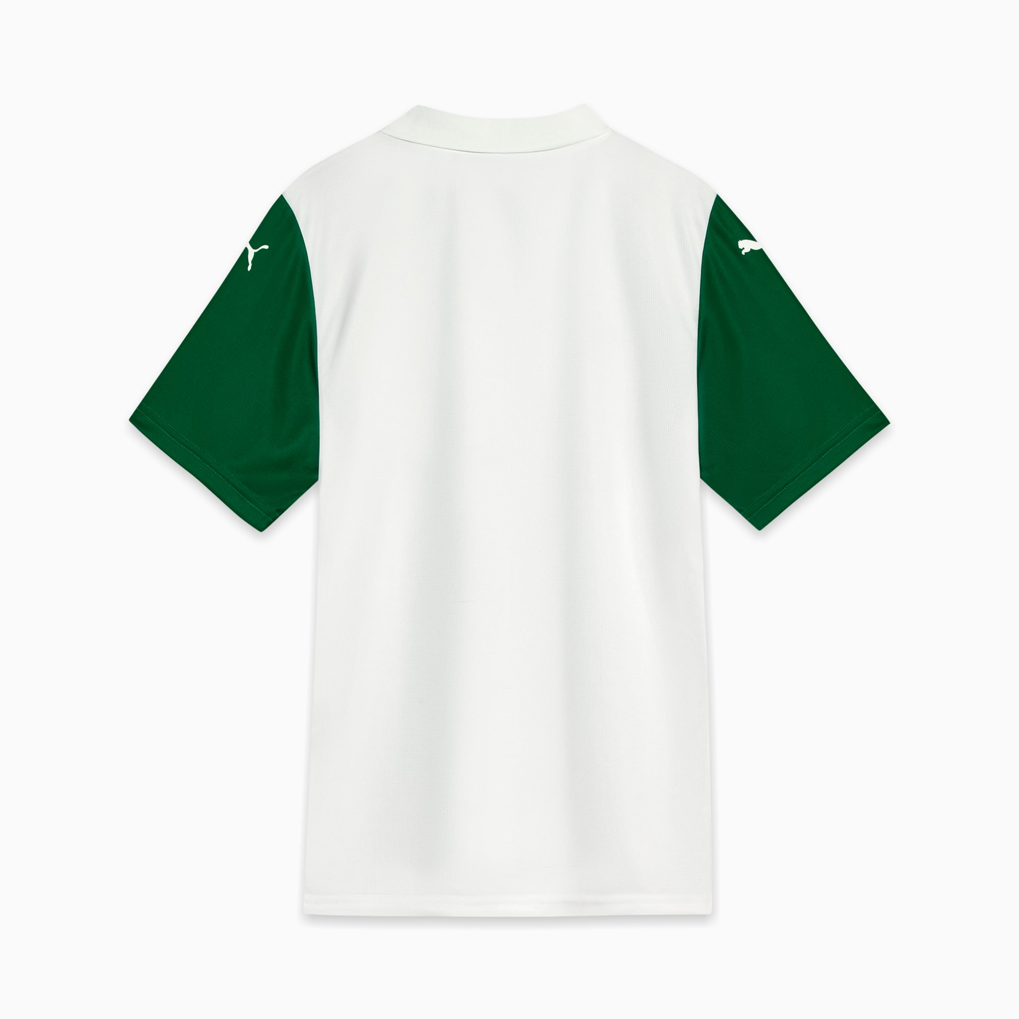 Camisa Palmeiras II 25/26 - Torcedor Puma