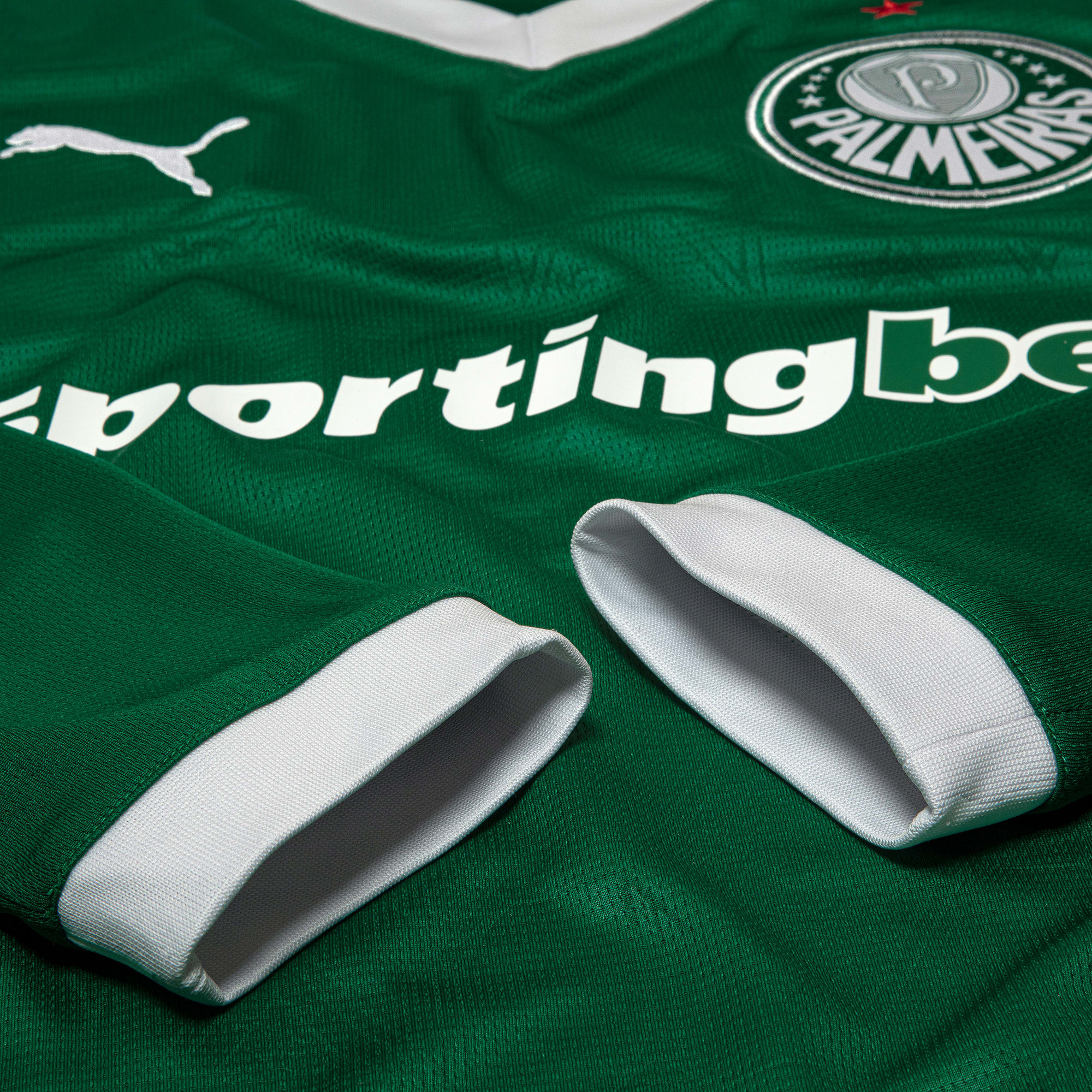 Camisa Palmeiras I 25/26 Manga Longa - Torcedor Puma