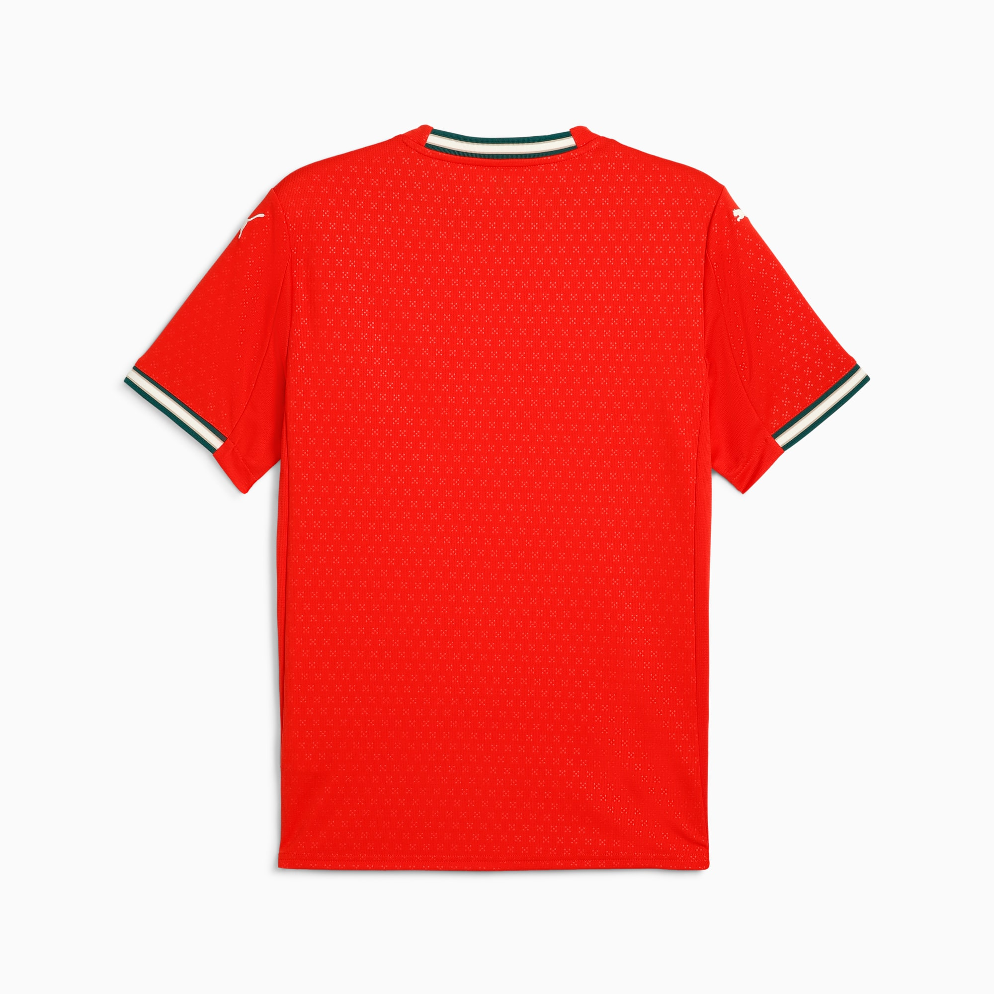 Camisa Portugal I 25/26 - Torcedor Puma