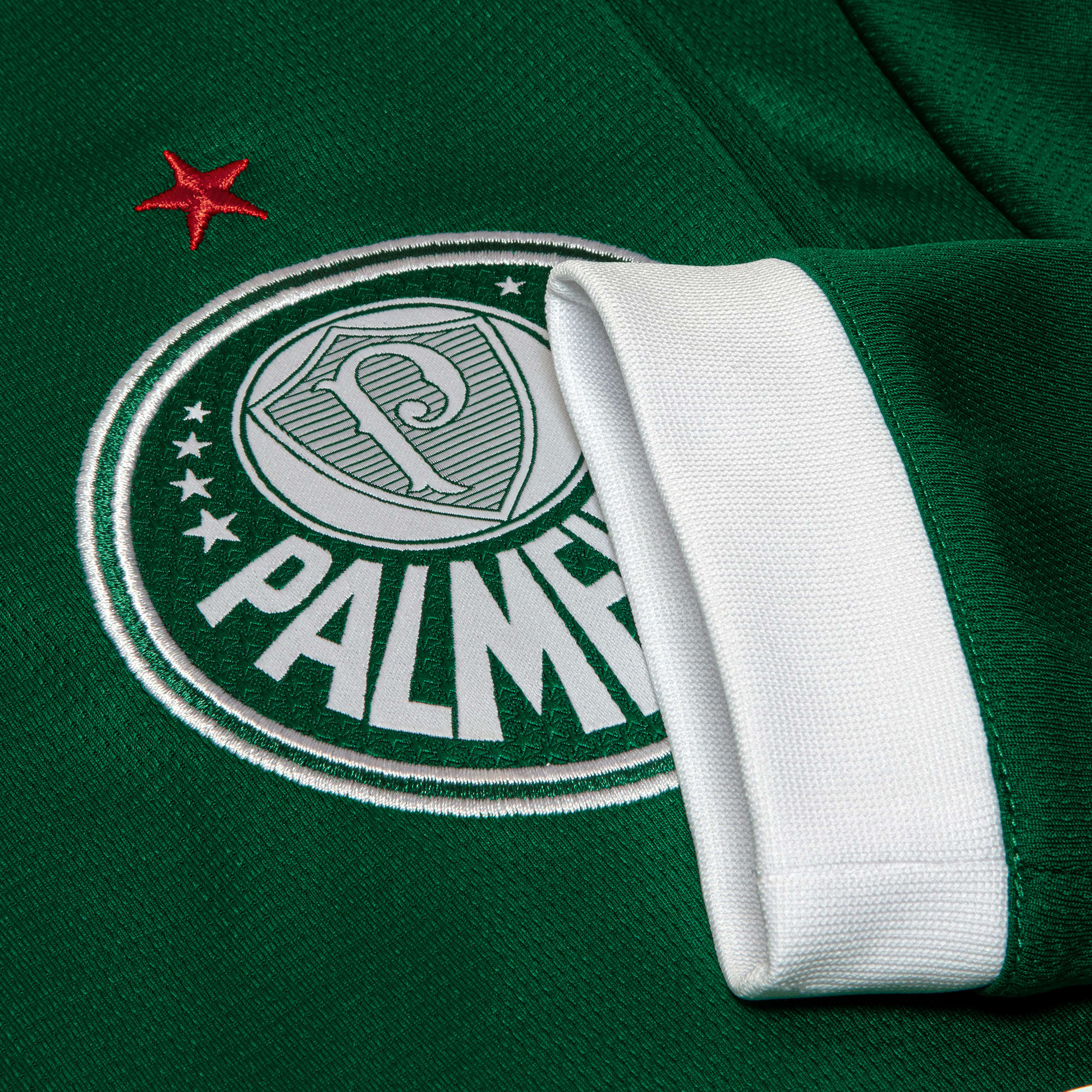 Camisa Palmeiras I 25/26 Manga Longa - Torcedor Puma