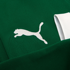 Camisa Palmeiras I 25/26 Manga Longa - Torcedor Puma
