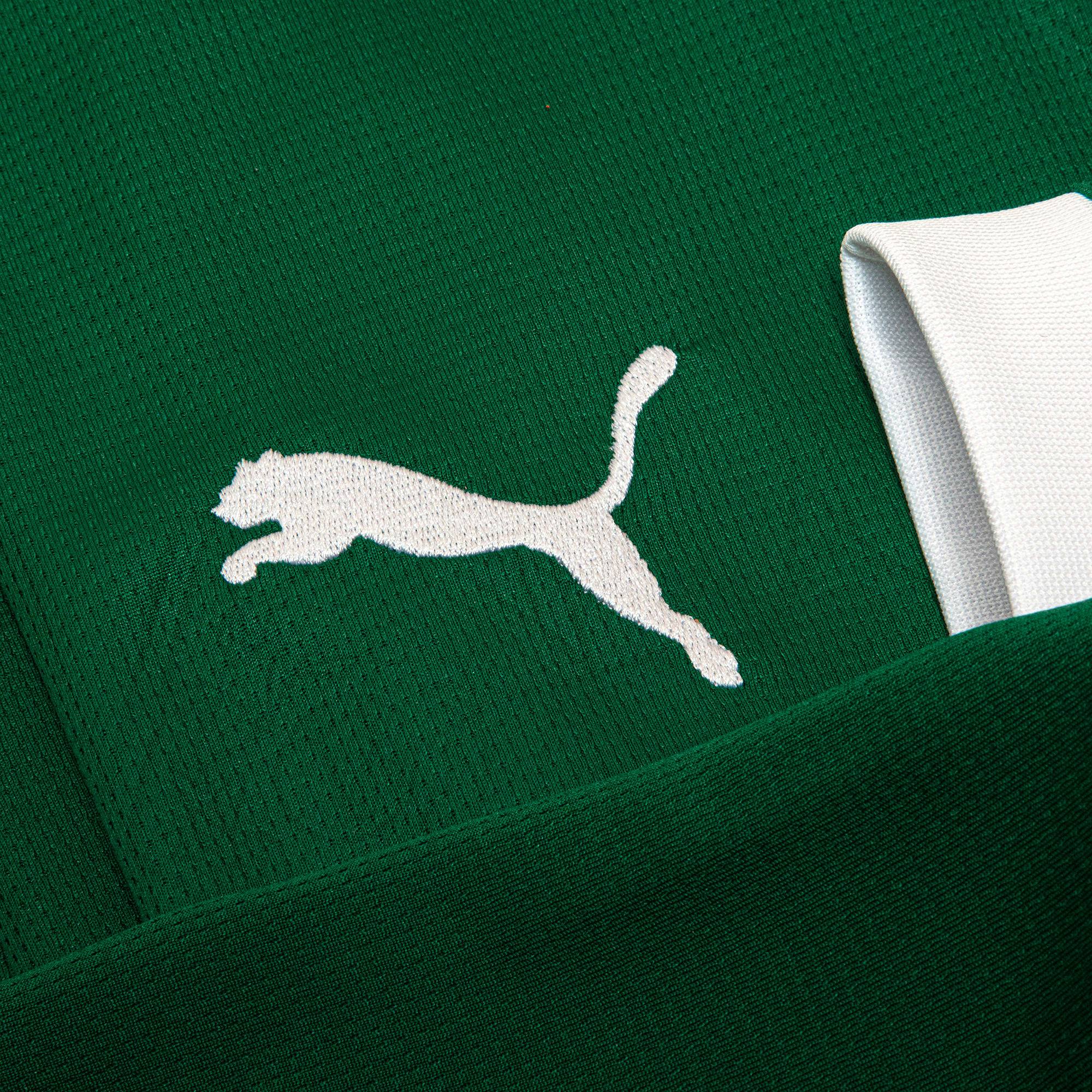 Camisa Palmeiras I 25/26 Manga Longa - Torcedor Puma