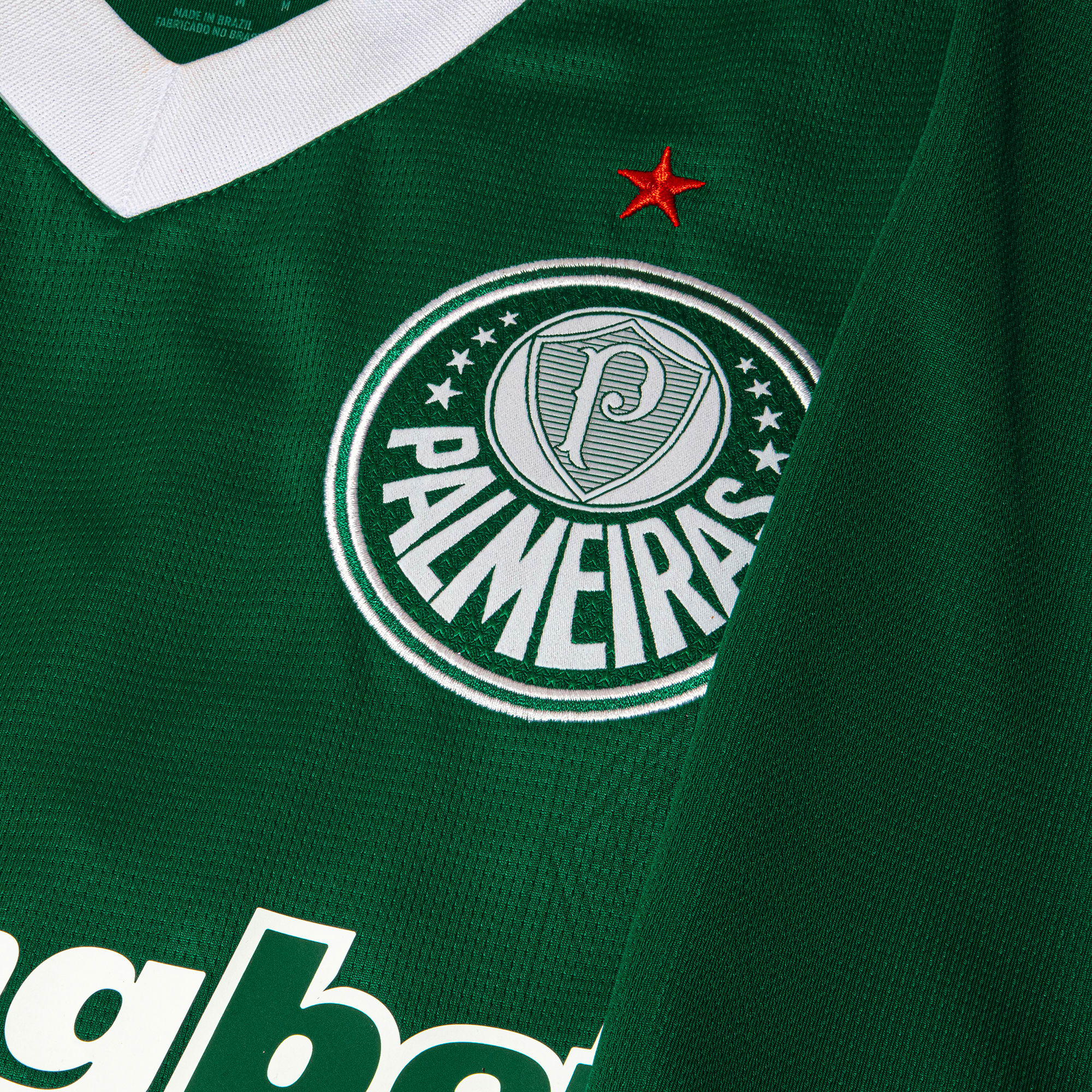 Camisa Palmeiras I 25/26 Manga Longa - Torcedor Puma