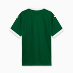 Camisa Palmeiras I 25/26 - Torcedor Puma