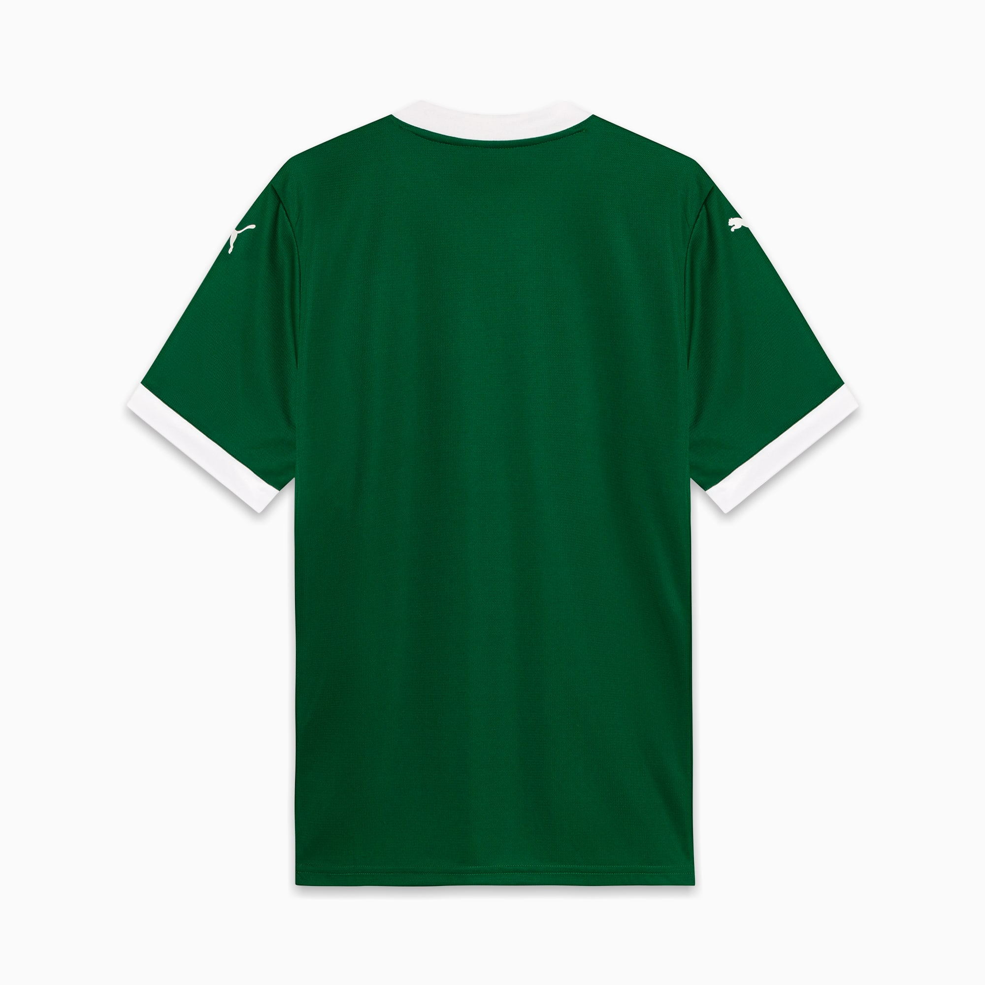Camisa Palmeiras I 25/26 - Torcedor Puma