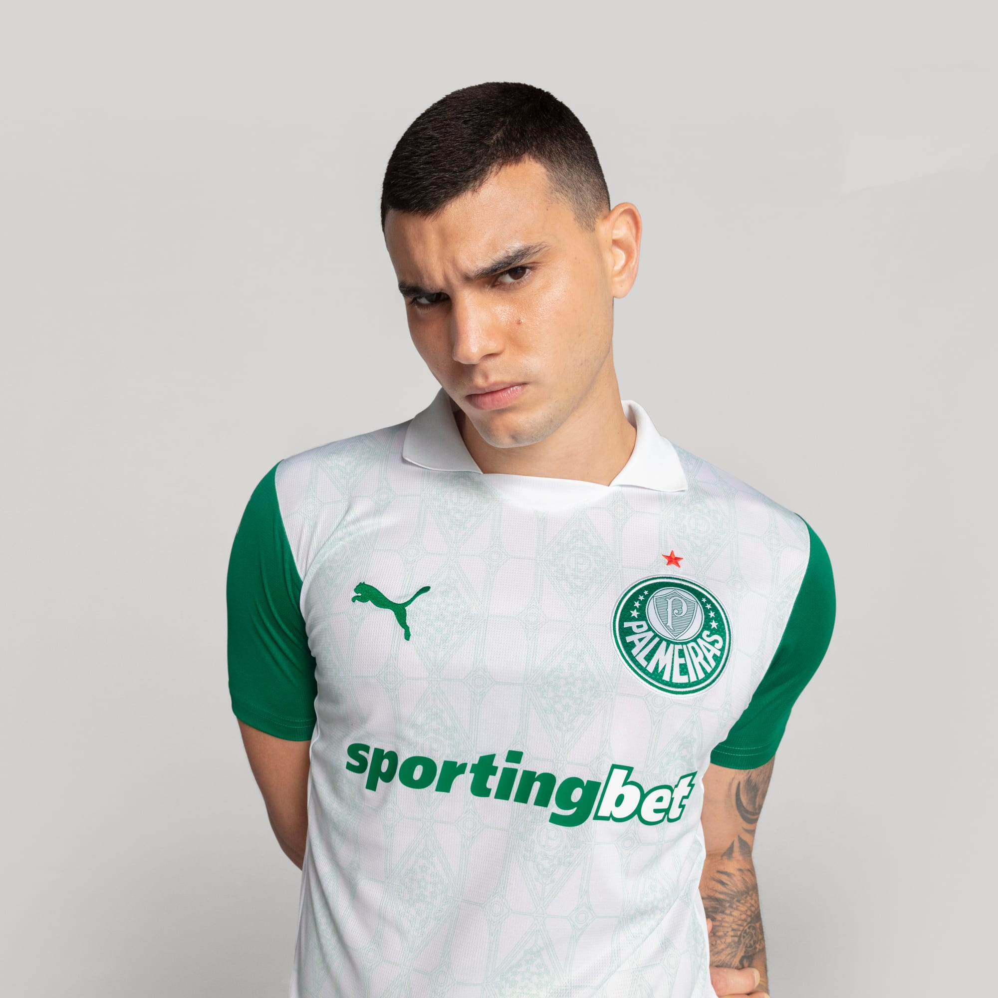 Camisa Palmeiras II 25/26 - Torcedor Puma