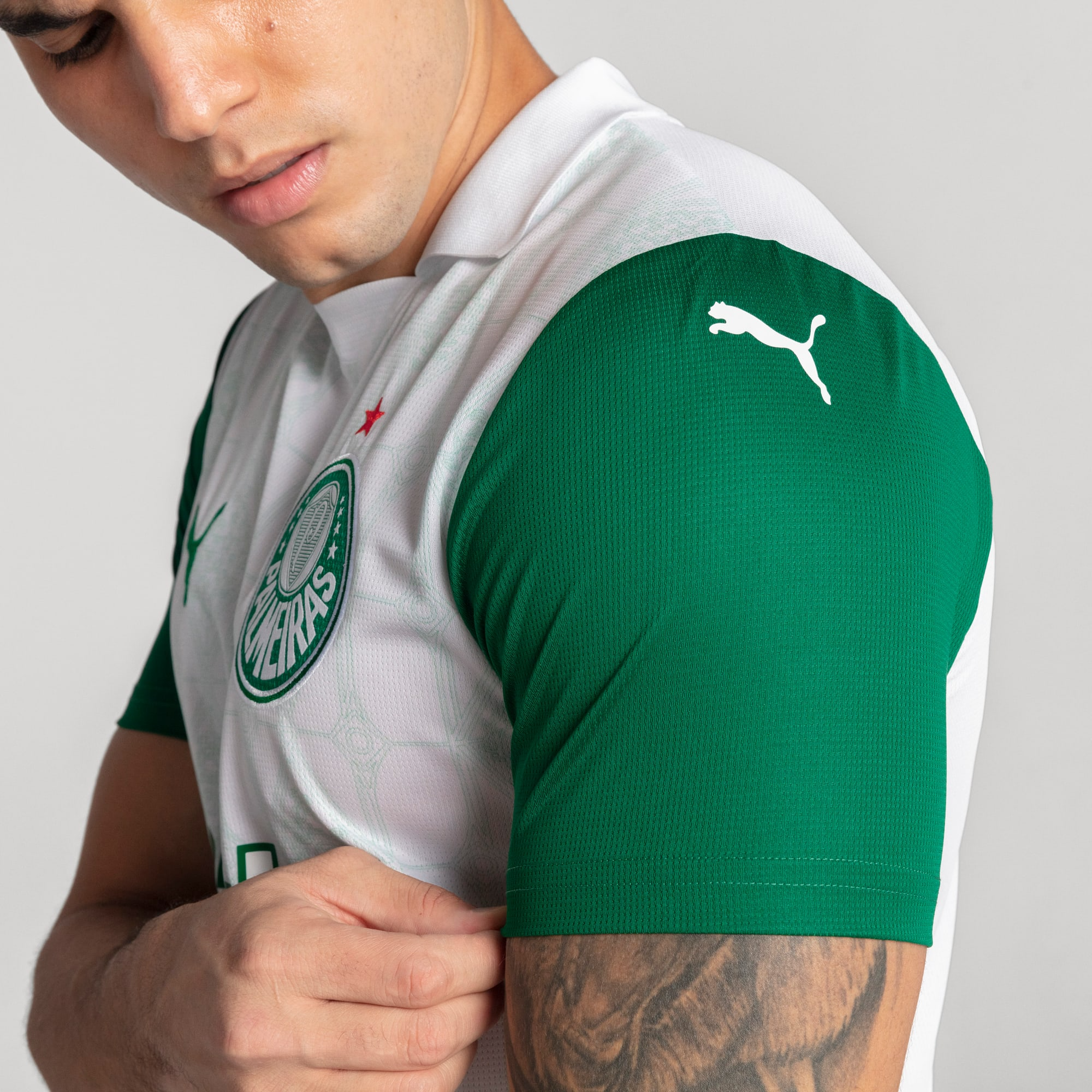 Camisa Palmeiras II 25/26 - Torcedor Puma